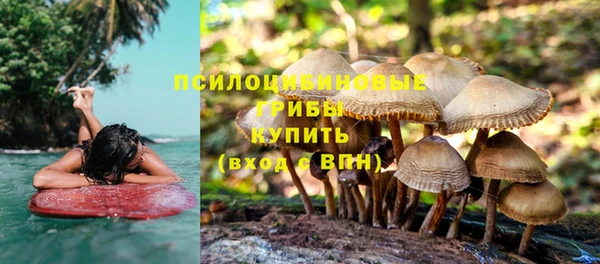 бутират Бородино
