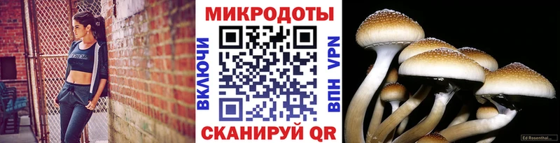 Псилоцибиновые грибы GOLDEN TEACHER  Бугуруслан 