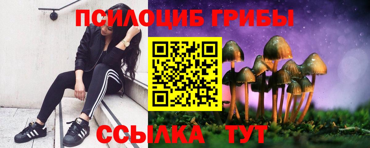 Галлюциногенные грибы Cubensis  Вход с VPN  Бугуруслан 