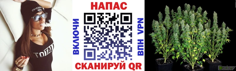 Бошки Шишки VHQ где продают Бугуруслан